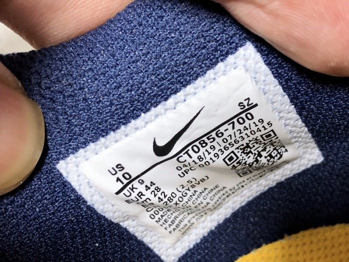 nike dunk low fw michigan - ct0856-700