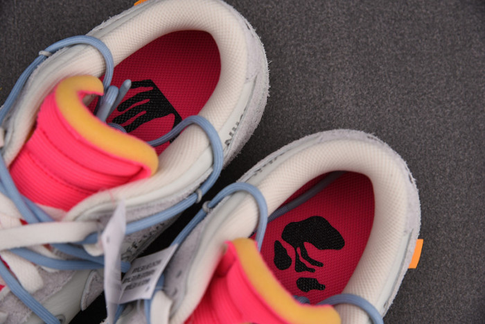 fw x nike dunk low