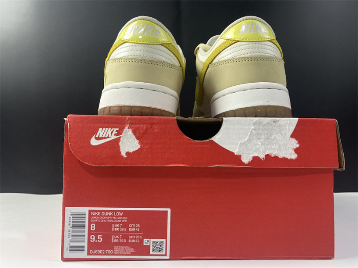 nike dunk low dj6902-700